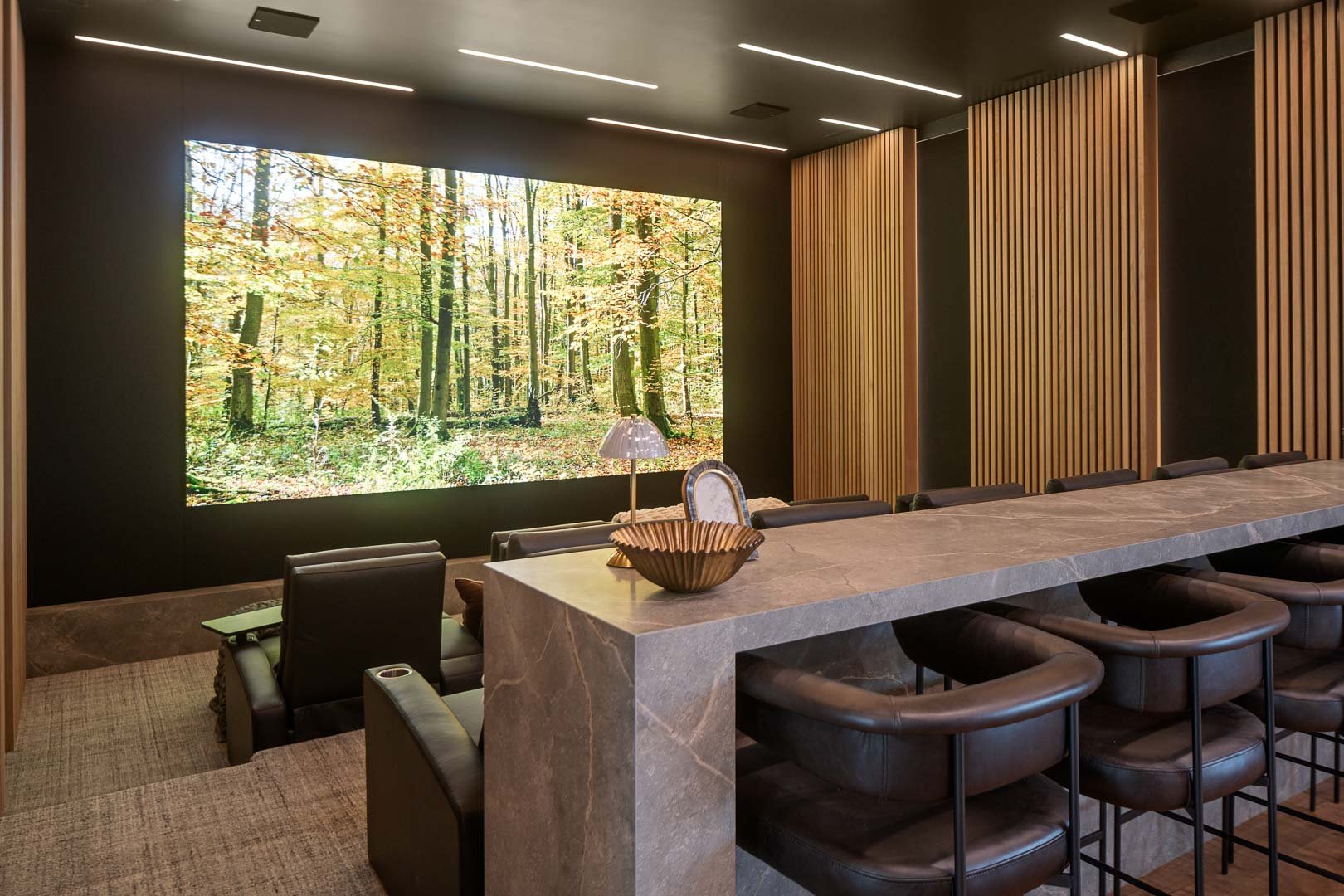 TerraVue Theater Room